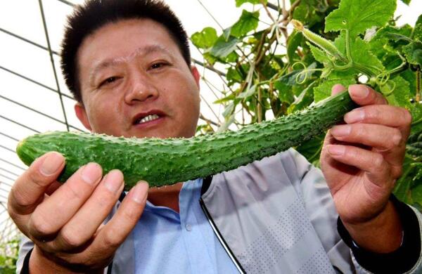生鮮食材配送為什么大多不能與客戶(hù)建立長(zhǎng)期合作？